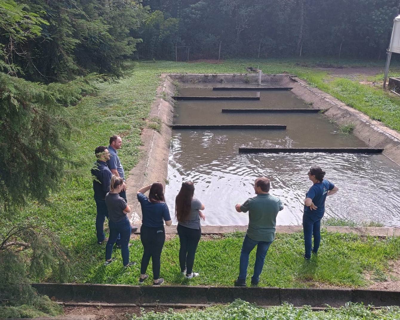 visita treze tilias